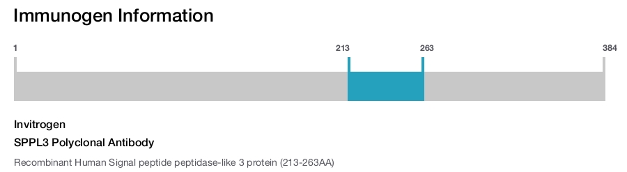 SPPL3 Polyclonal Antibody