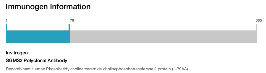 SGMS2 Polyclonal Antibody