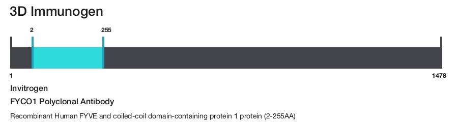 FYCO1 Polyclonal Antibody