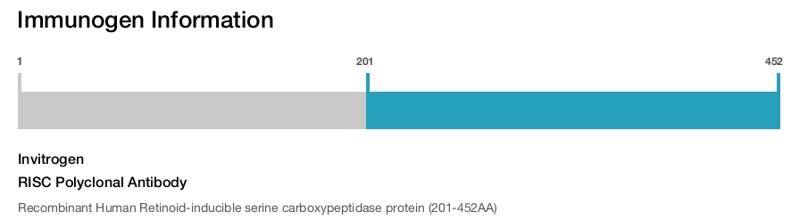 RISC Polyclonal Antibody