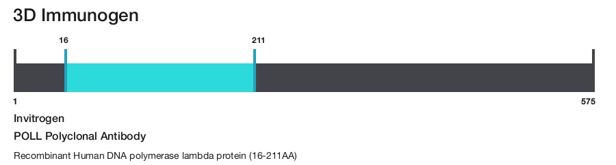 POLL Polyclonal Antibody