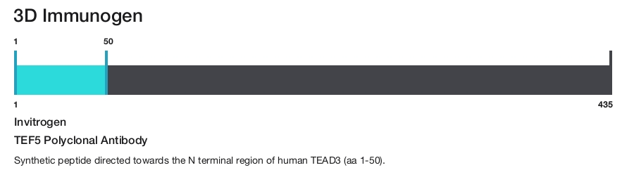 TEF5 Polyclonal Antibody