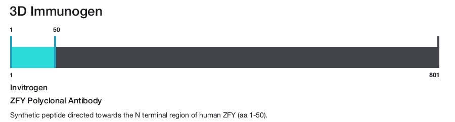 ZFY Polyclonal Antibody