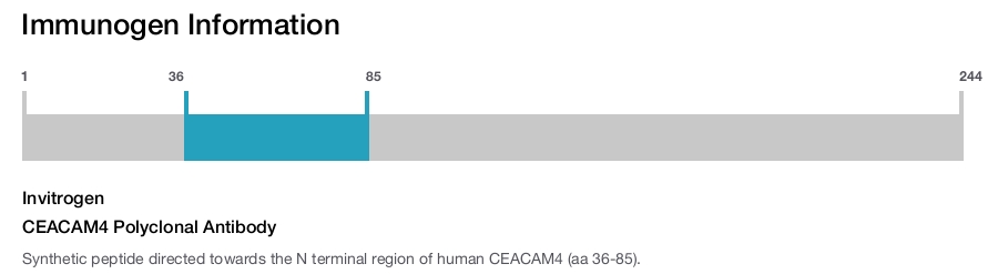 CEACAM4 Polyclonal Antibody