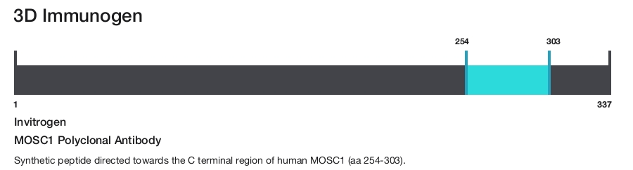 MOSC1 Polyclonal Antibody
