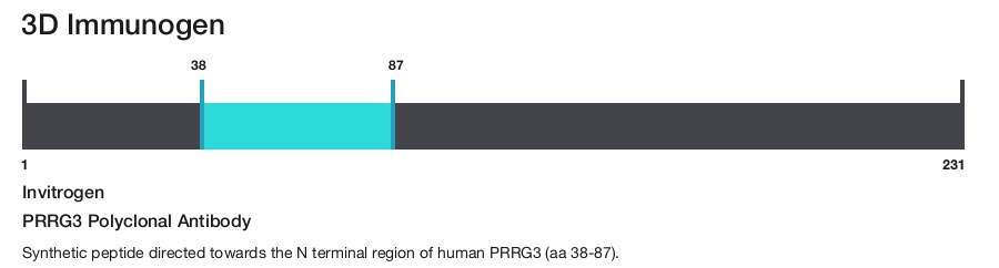 PRRG3 Polyclonal Antibody