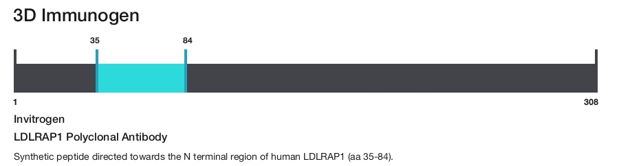 LDLRAP1 Polyclonal Antibody