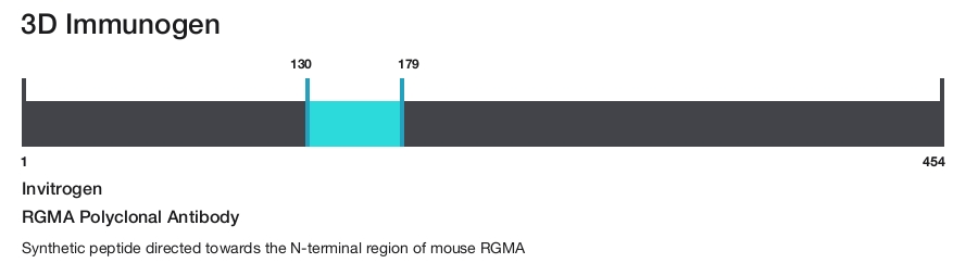 RGMA Polyclonal Antibody