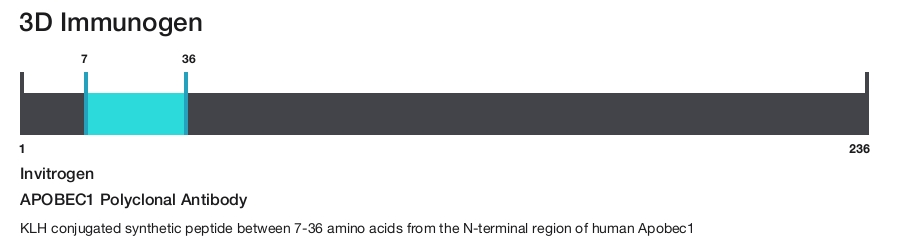 APOBEC1 Polyclonal Antibody