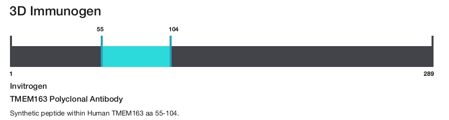 TMEM163 Polyclonal Antibody
