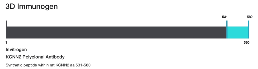 KCNN2 Polyclonal Antibody