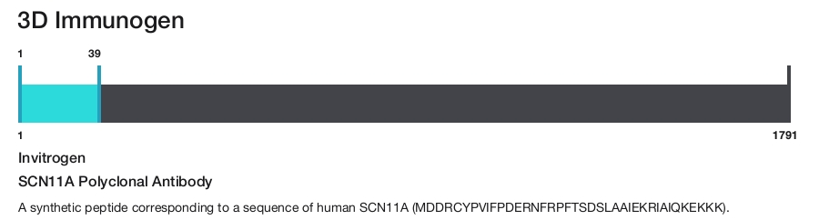 SCN11A Polyclonal Antibody