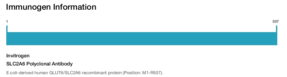 SLC2A6 Polyclonal Antibody
