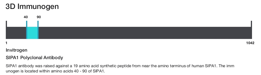 SIPA1 Polyclonal Antibody