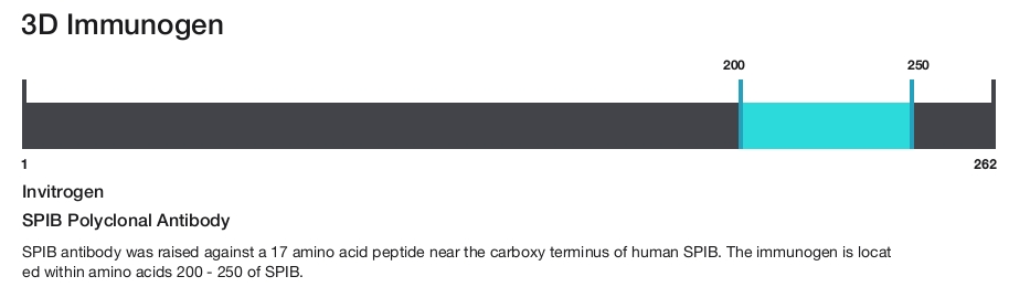 SPIB Polyclonal Antibody