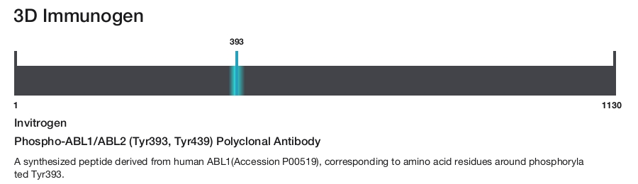 Phospho-ABL1/ABL2 (Tyr393, Tyr439) Polyclonal Antibody