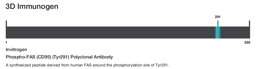 Phospho-FAS (CD95) (Tyr291) Polyclonal Antibody