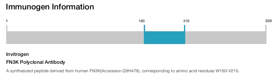 FN3K Polyclonal Antibody
