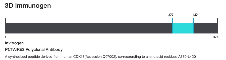 PCTAIRE3 Polyclonal Antibody