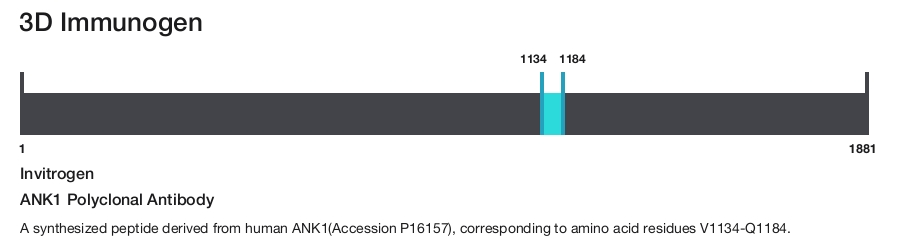 ANK1 Polyclonal Antibody