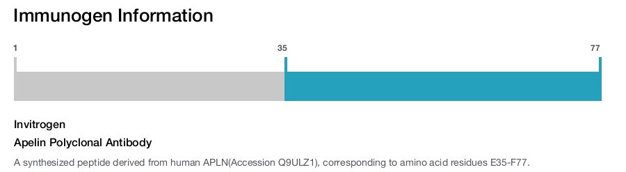 Apelin Polyclonal Antibody (PA5-114860)