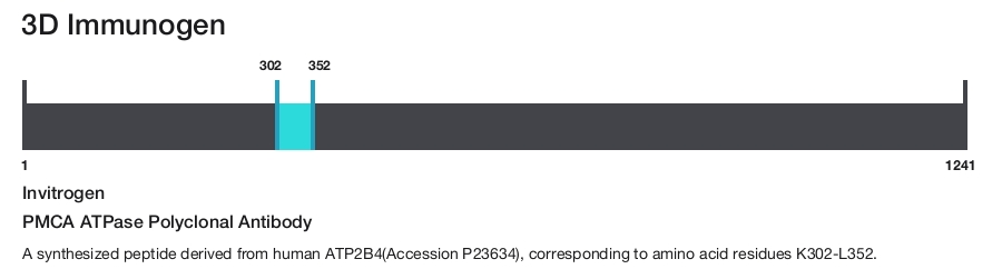 PMCA ATPase Polyclonal Antibody