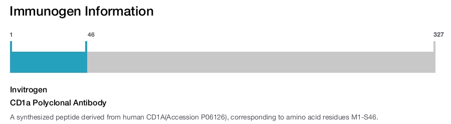 CD1a Polyclonal Antibody