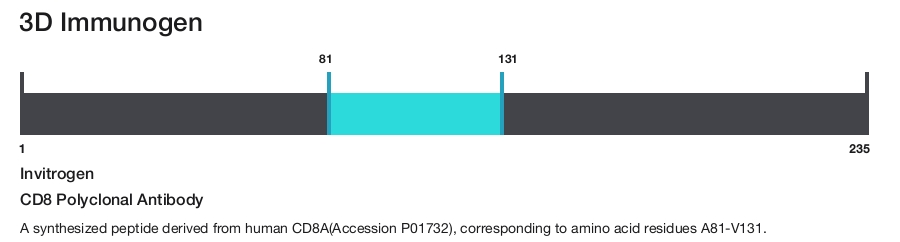 CD8 Polyclonal Antibody
