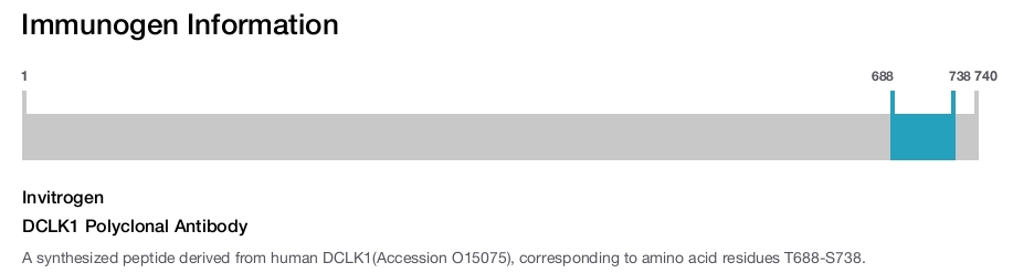 DCLK1 Polyclonal Antibody