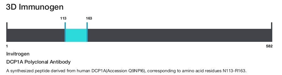 DCP1A Polyclonal Antibody