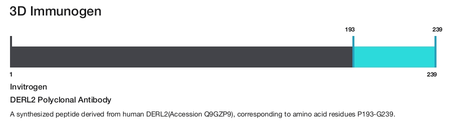 DERL2 Polyclonal Antibody