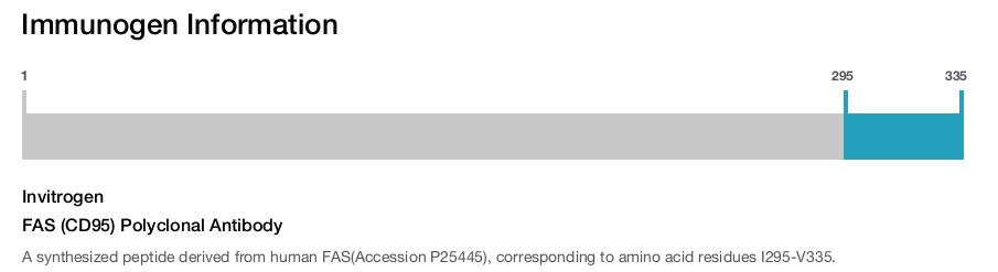 FAS (CD95) Polyclonal Antibody