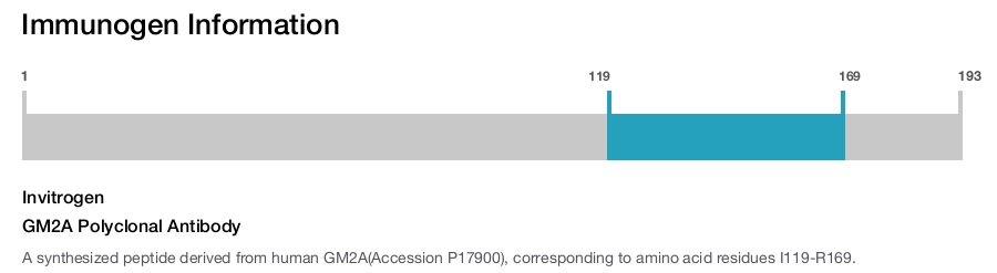 GM2A Polyclonal Antibody