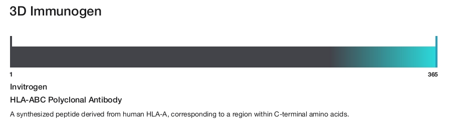 HLA-ABC Polyclonal Antibody