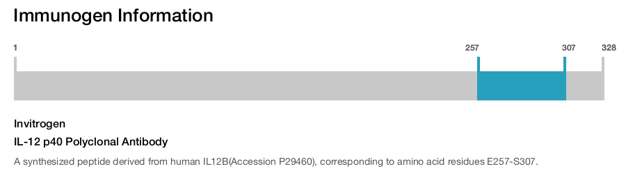 IL-12 p40 Polyclonal Antibody