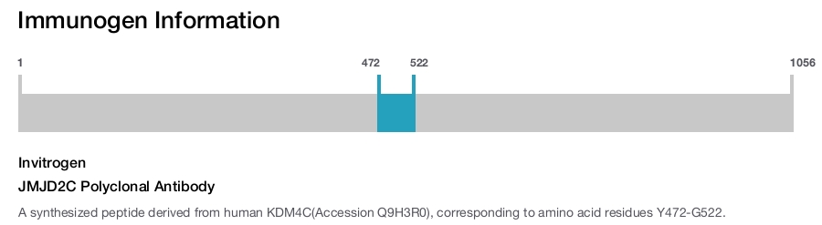 JMJD2C Polyclonal Antibody