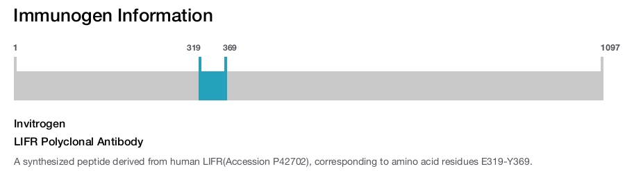 LIFR Polyclonal Antibody