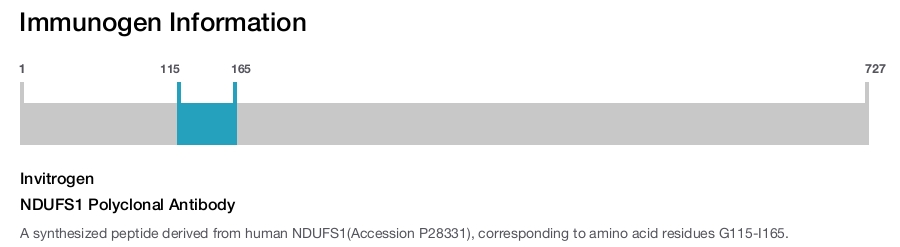 NDUFS1 Polyclonal Antibody