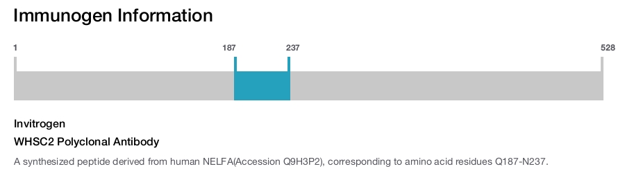 WHSC2 Polyclonal Antibody