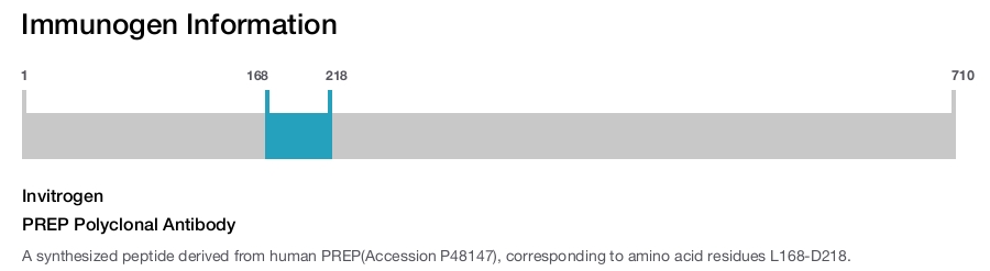 PREP Polyclonal Antibody