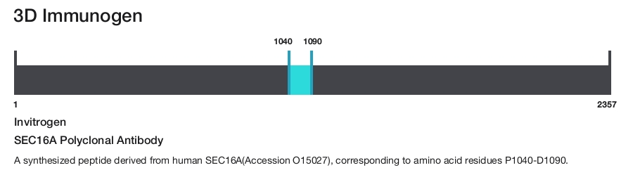 SEC16A Polyclonal Antibody