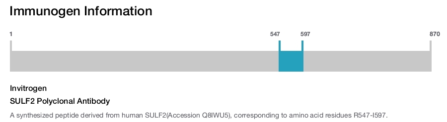 SULF2 Polyclonal Antibody