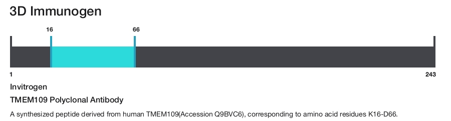 TMEM109 Polyclonal Antibody