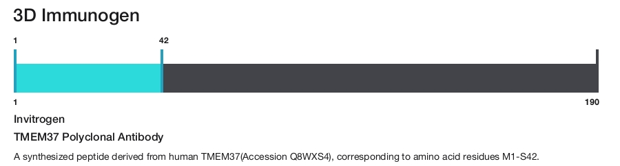 TMEM37 Polyclonal Antibody