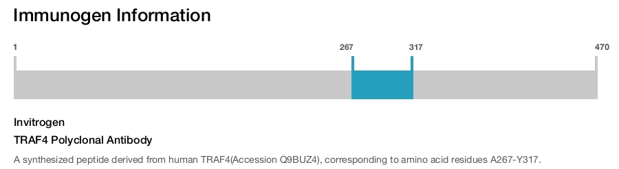 TRAF4 Polyclonal Antibody