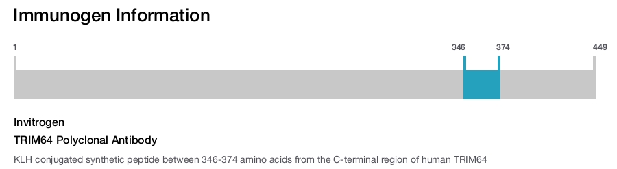 TRIM64 Polyclonal Antibody