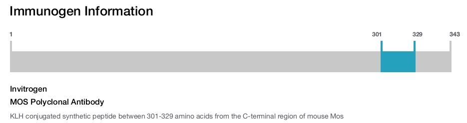 MOS Polyclonal Antibody