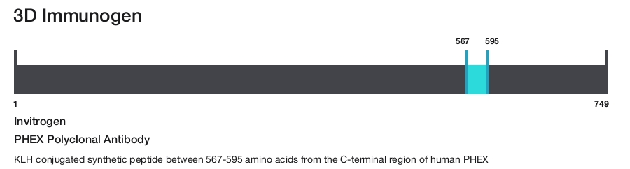 PHEX Polyclonal Antibody