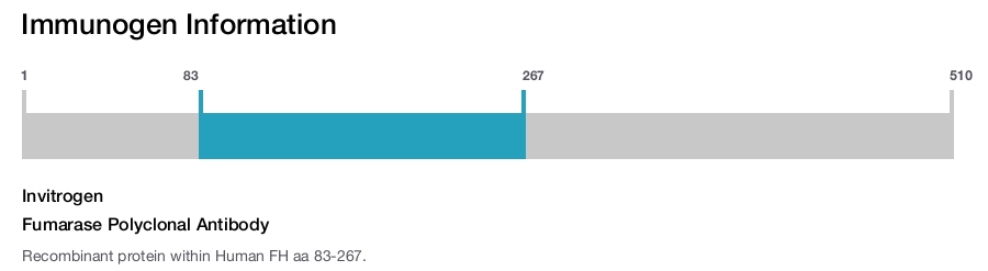 Fumarase Polyclonal Antibody