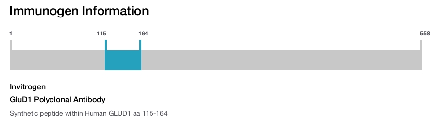GluD1 Polyclonal Antibody